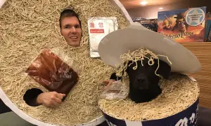 Nudeln für den Hund: Ja, aber nur mit diesen Regeln!
