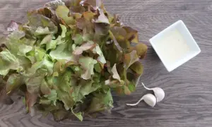Grüner Salat mal anders: Nie wieder langweilig 3 Top-Rezepte