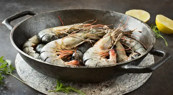 Perfekte Garnelen-Hauptgerichte: Rezepte & Tipps vom Profi